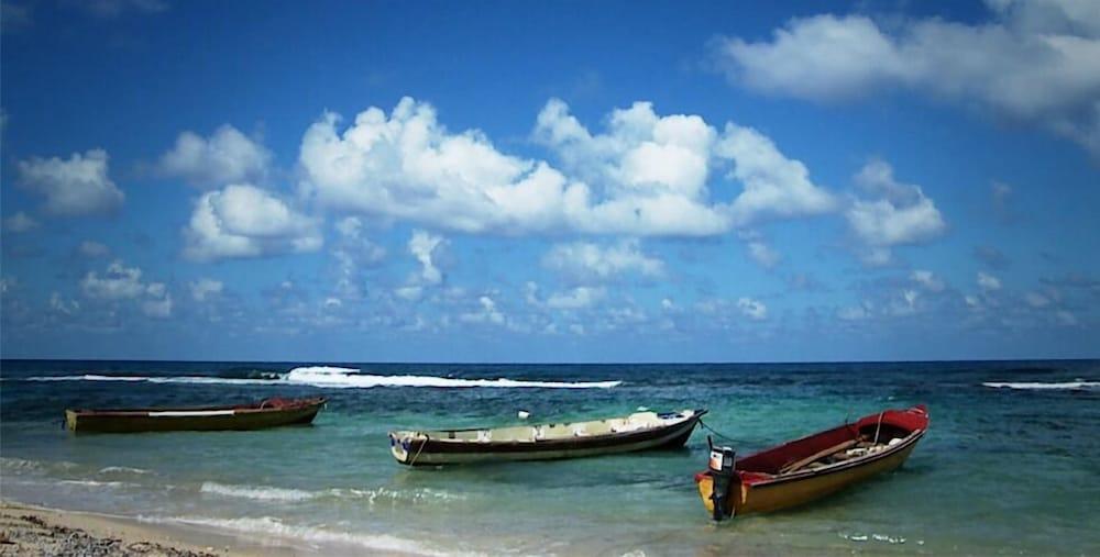 Frenchman'S Cove Otel Port Antonio Dış mekan fotoğraf